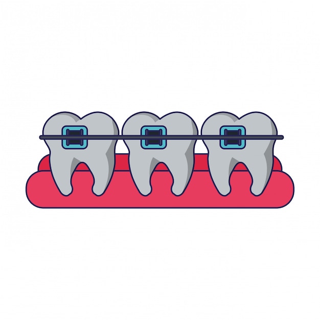 Vector teeth with braces