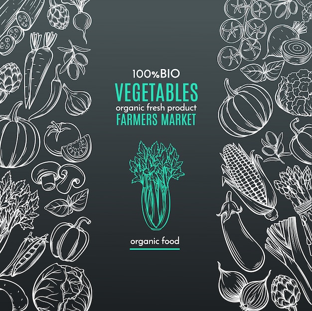 Vector template borders with hand drawn vegetables