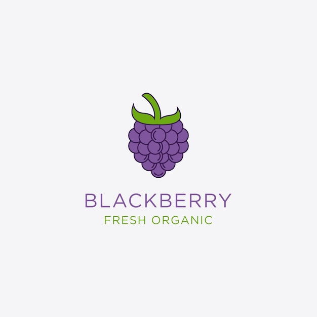 Modello design concetto di marchio blackberry