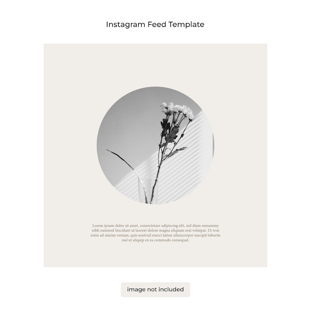 Template Instagram Feed Minimalism