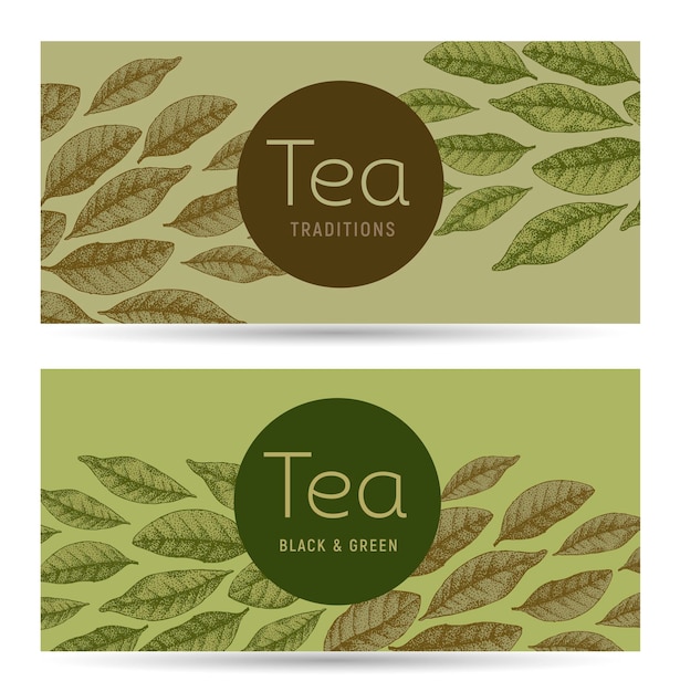 Vector template for tea package design