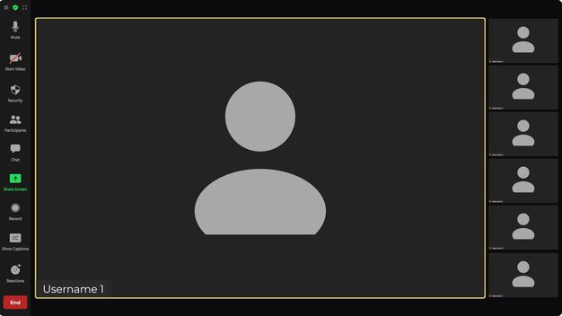 template video conference user interface application for social communication