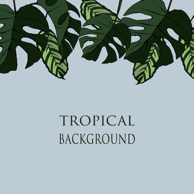  template with tropical leaves 