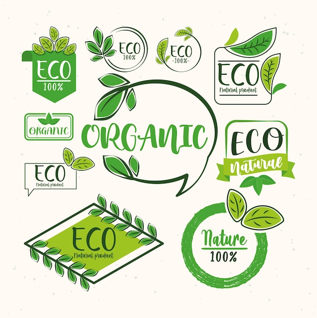 Ten eco labels