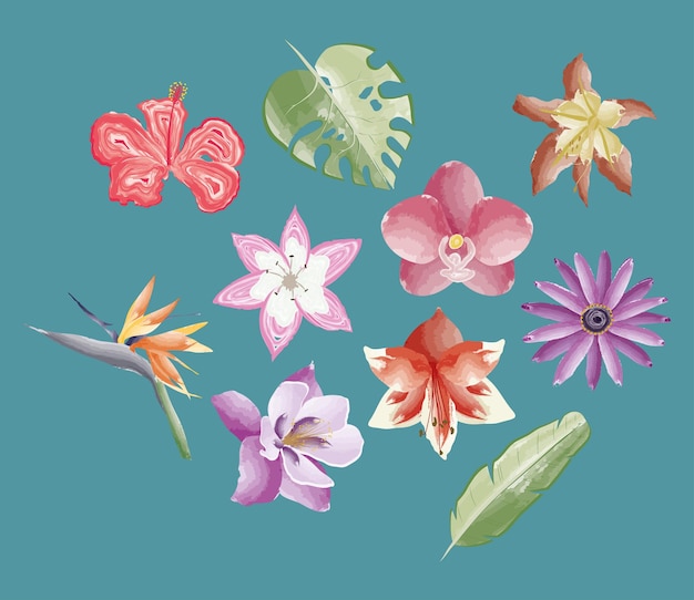 Ten exotics plants icons