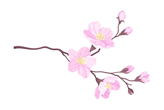 Tender Cherry Blossom Twig as Fragrant Seasonal Foliage with Pink Flowers Vector Illustration