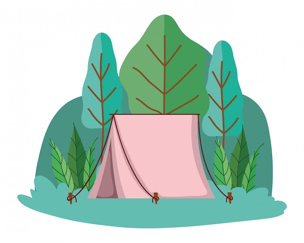 Vector tent en kamperen