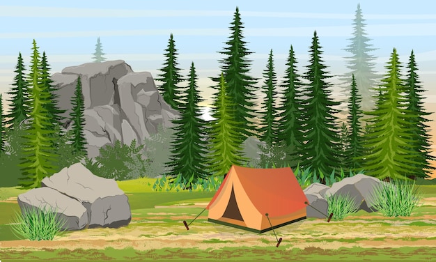 Tent in the valley near the spruce forest and large stones hiking and camping in europe and america