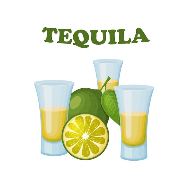 Vettore tequila l'immagine della tequila nei bicchieri bicchieri con tequila e lime affettato bevanda alcolica illustrazione vettoriale isolato su sfondo bianco