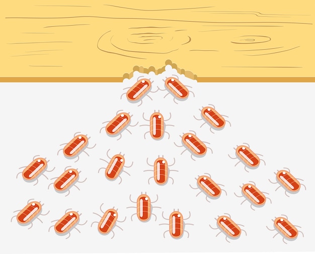 Vector termieten eten stuk hout