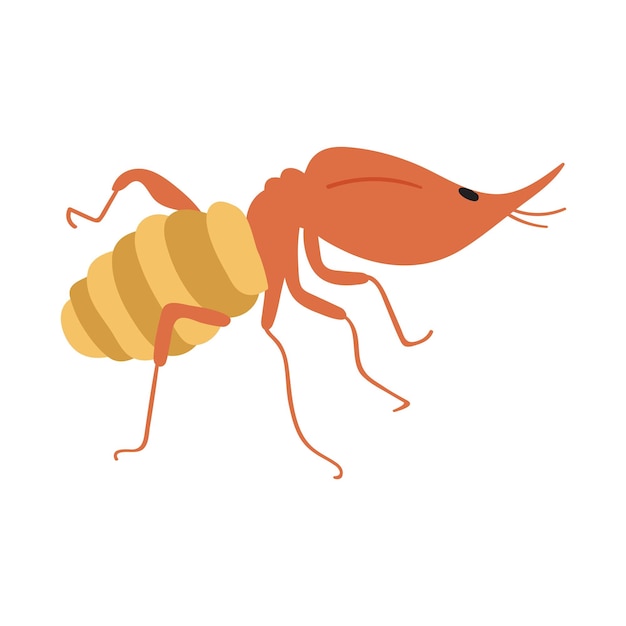 Termite. Flat illustration. Graphic design on white background.