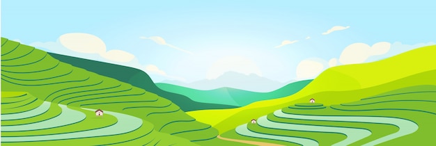 Vector terraced fields at sunset