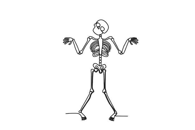 Vector a terrifying human skeleton human skeleton oneline drawing