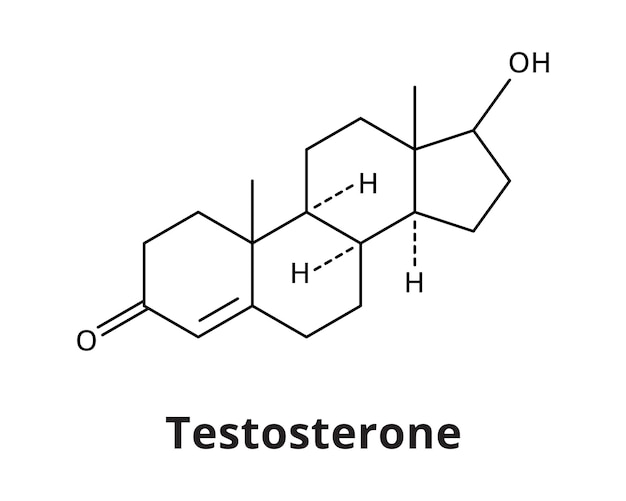 Vector testosteron hormoon chemische structuur vectorillustratie