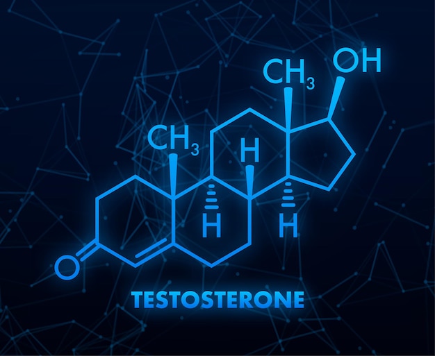 Testosterone formula Vector thin line icon of testosterone molecular structure