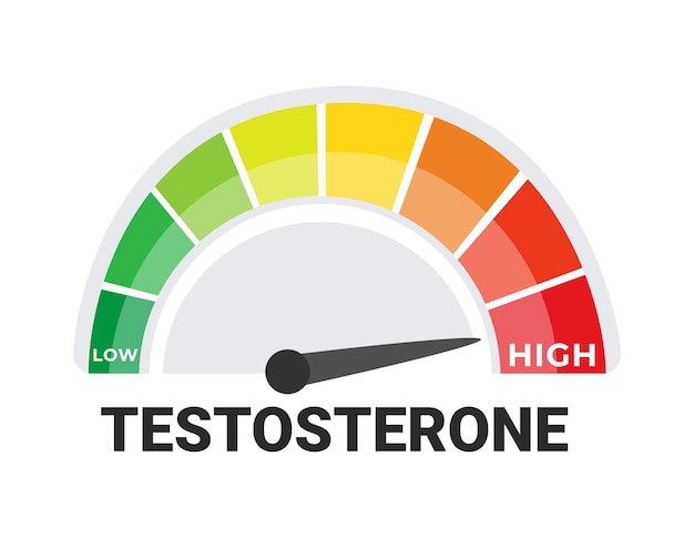 낮은 수준의 호르몬 건강 및 내분비학 개념을 포함하는 테스토스테론 수준 표시기 그래픽