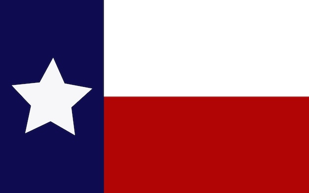 Vettore bandiera del texas