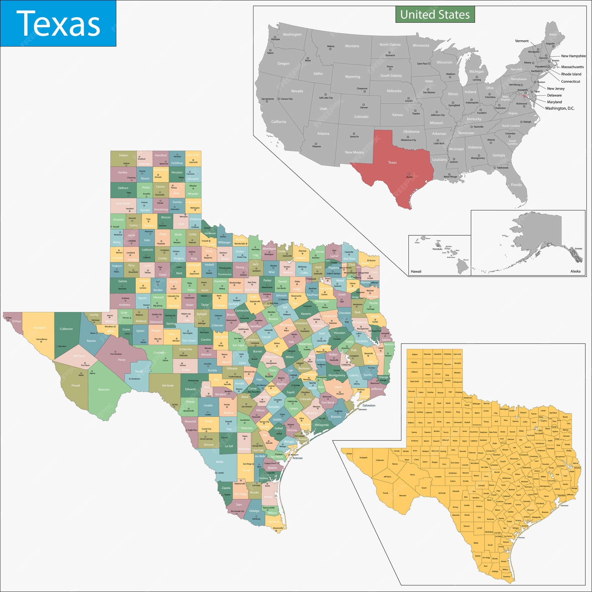 Premium Vector | Texas map