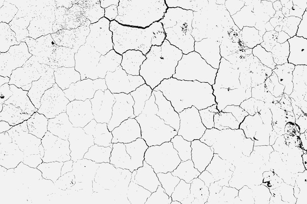 Vector texture of arid ground cracks and splashes of stains black and white texture background eps vector
