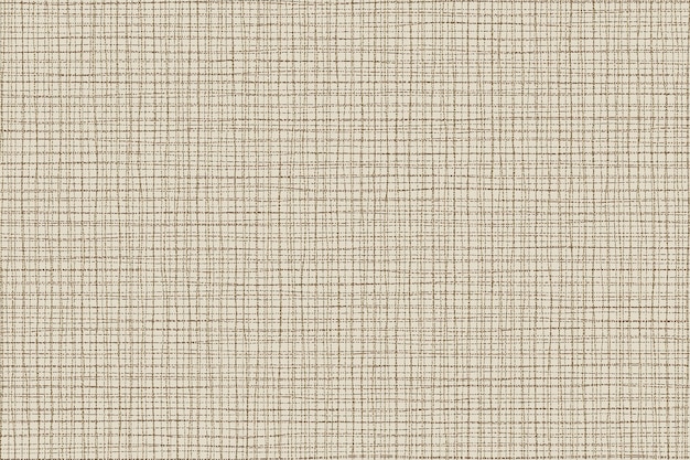 Texture of burlap canvas brown vector background