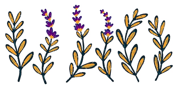 Текстура лавандовые ветви, нарисованные вручную Векторный набор клипарта