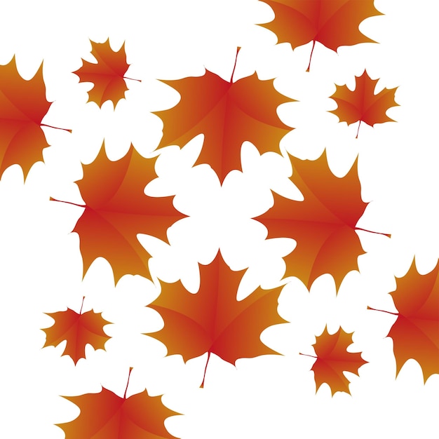 Texture of maple leaves on white background maple leaves vector design for wallpaper and pattern