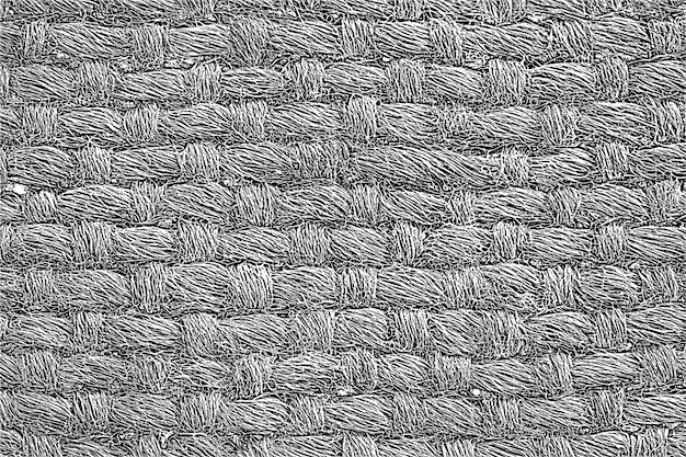 Texture of sackcloth canvas vector background