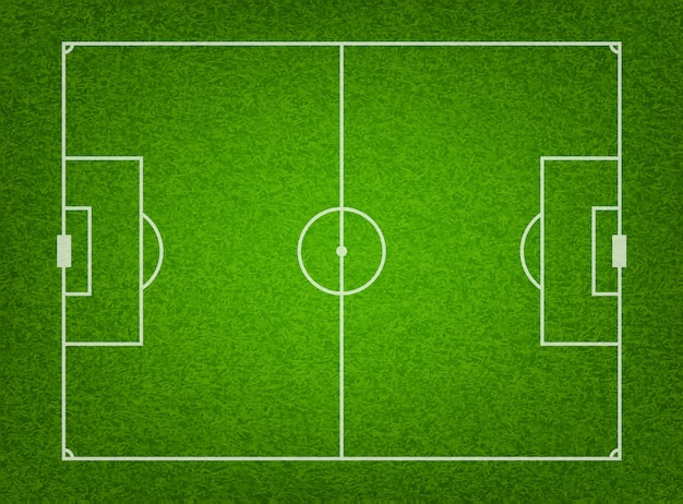 textured grass soccer field.