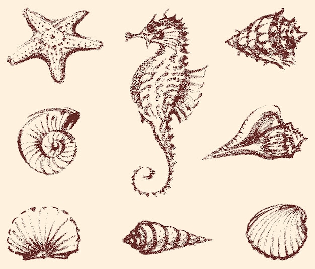 Текстурированный ручной рисунок различных морских существ