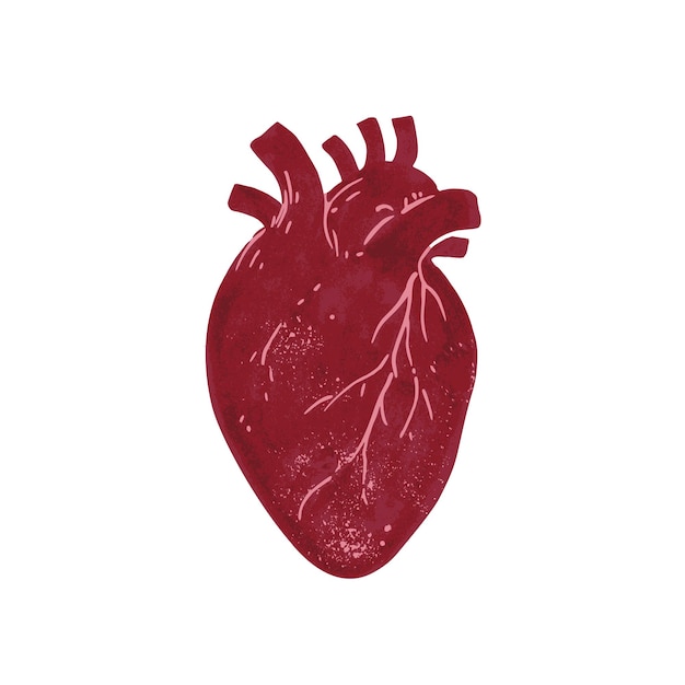textured purple anatomical heart vector illustration in gothic victorian style