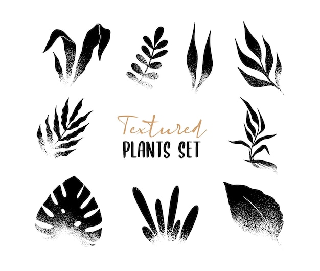 Textured silhouette set of plants and leaves Stylish decorative elements for design