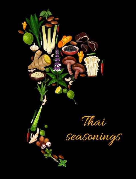 Vector thai herbs spices and seasonings food cooking