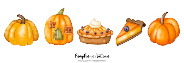 Illustrazione vettoriale xdxa dell'acquerello della stagione autunnale o autunnale della zucca del ringraziamento