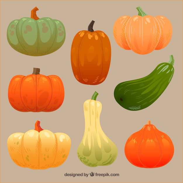 Thanksgiving pumpkins set