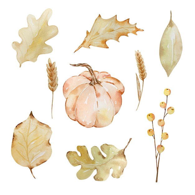 Vector thanksgiving watercolor elements autumn leaves and pumpkin