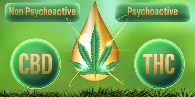 Vector thc psychoactive-banner