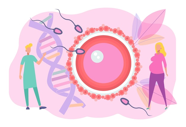 ベクトル 人工授精の概念精子は子宮を受精させます妊娠と人間の生殖の発達の象徴的な視覚化赤ちゃんの受胎クリニック