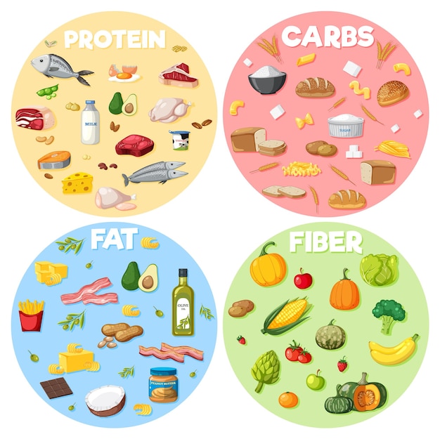 ベクトル 4つの主な食品グループ