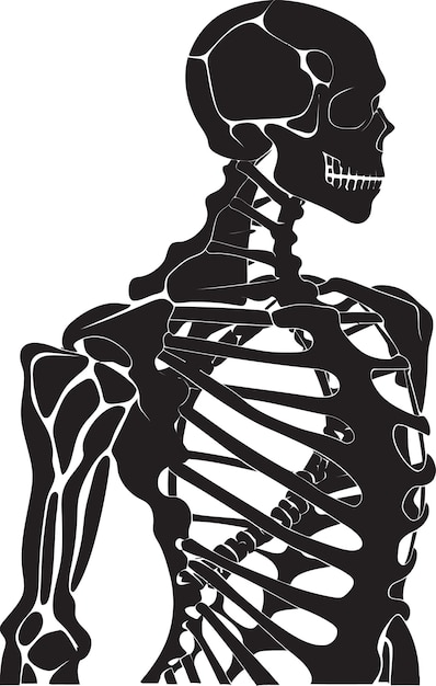 Вектор Структура жизни раскрывает полный человеческий скелет за поверхностью глубокое погружение