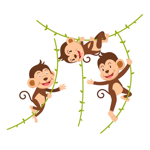 원숭이는 격리된 벡터 삽화에 매달려 있습니다.