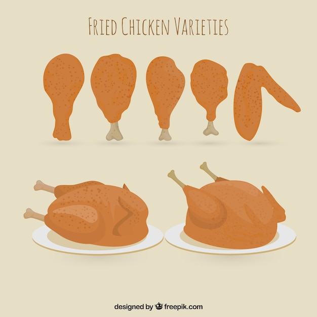 Vector thigh of chickens and other varieties