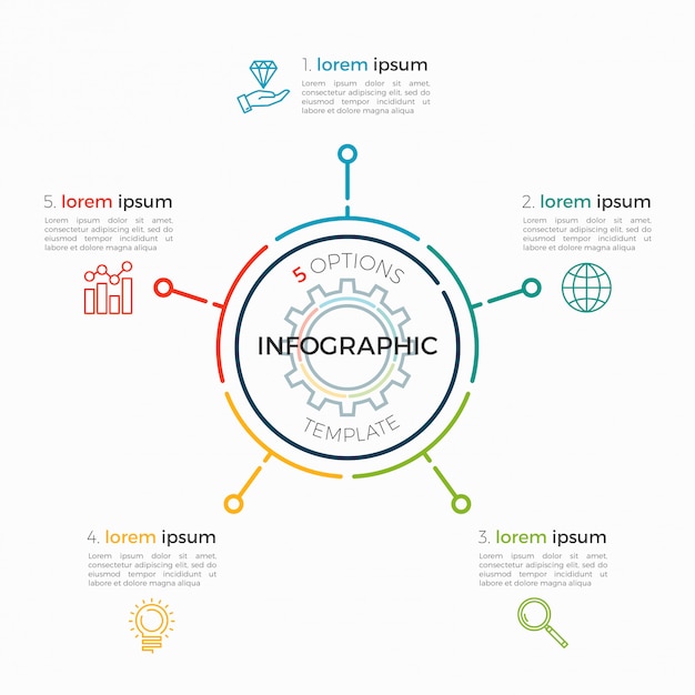 얇은 선 infographic 템플릿 5 옵션. 편집 가능한 차트 획.