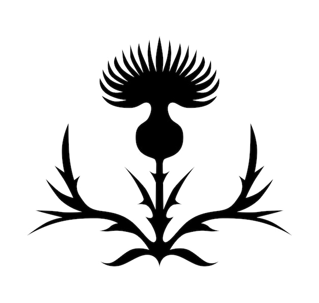 Thistle bloem mooi silhouet van het symbool van Schotland distel logo
