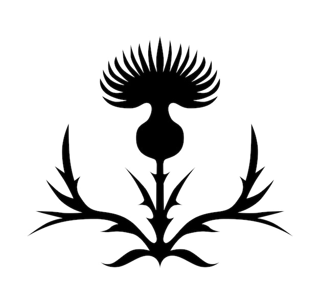 Thistle flower beautiful silhouette of the symbol of Scotland thistle logo