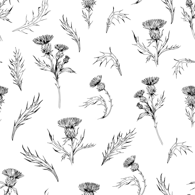 Thistle plant Naadloze patroon Zwarte schets illustratie voor ontwerp voor een papieren stof