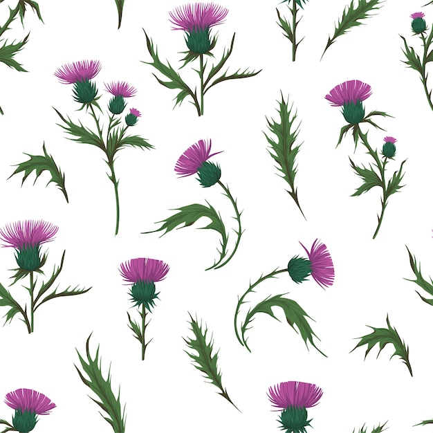 Thistle plant Seamless pattern Colorful illustration for fabric paper design