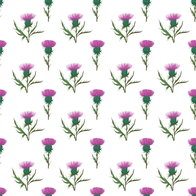 Thistle plant Seamless pattern Colorful illustration for fabric paper design