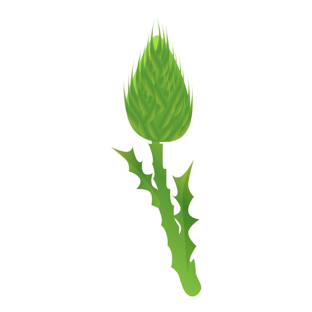 벡터 엉겅퀴 스코틀랜드 식물 아이콘 흰색 배경에 고립 된 웹 디자인을 위한 엉겅퀴 스코틀랜드 식물 벡터 아이콘의 만화