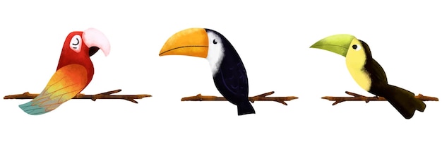 Three Bird Illustration on White Background