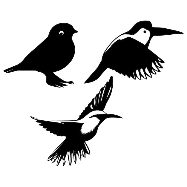 Vector three birds are shown with one that has a white face